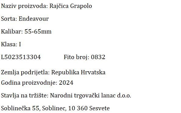 RAJČICA SVJEŽA GRAPOLO NTL